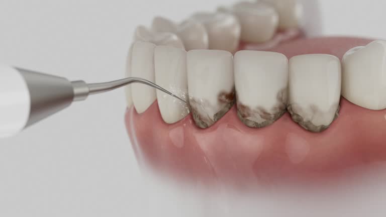 Reliable Dental contractor in Merrionette Park, IL by Dentist Open Now